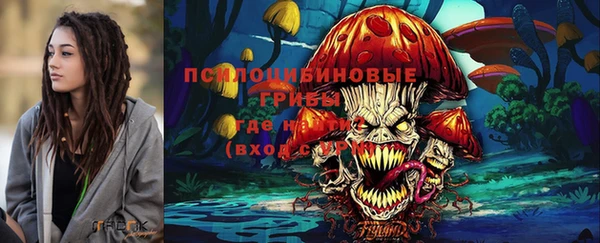 твердый Богданович