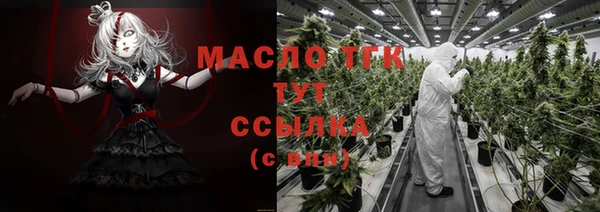 твердый Богданович