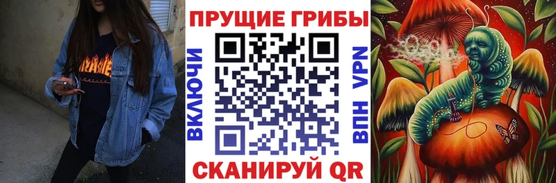 mega tor  Колпашево  Галлюциногенные грибы GOLDEN TEACHER 